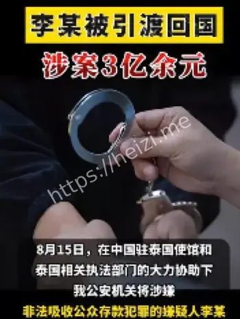 经济犯罪