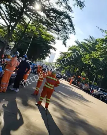 基孔肯雅热