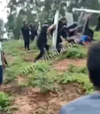 风力发电