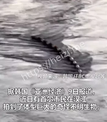 目击事件
