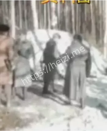 回收飞碟