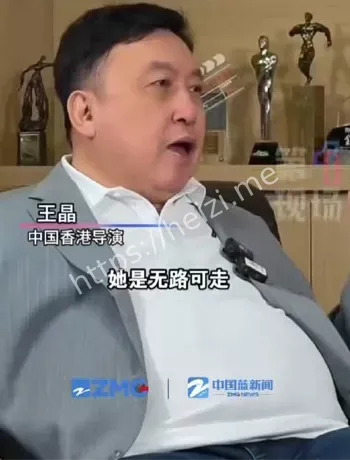 蔡少芬