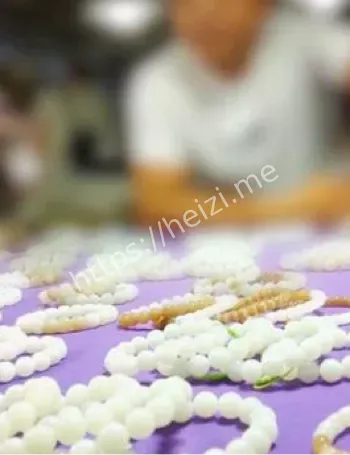 和田玉骗局