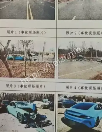 小米车主