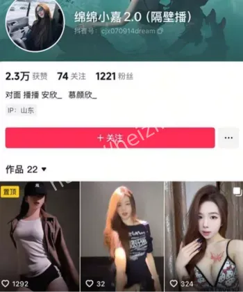 绵绵小嘉