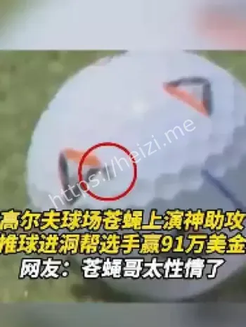 高尔夫球比赛