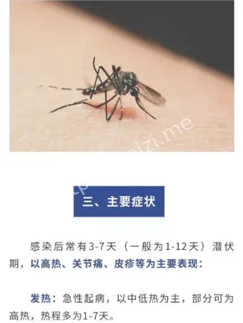 基孔肯雅热