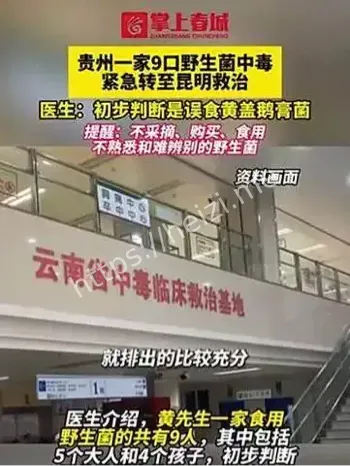 鹅膏菌中毒