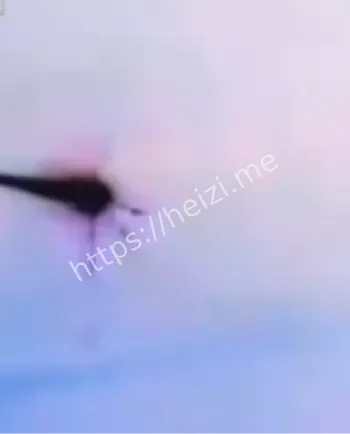 UFO