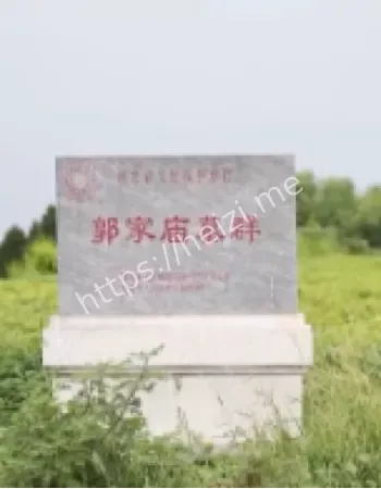 珍贵青铜器