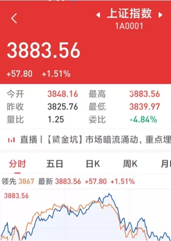 陈天石