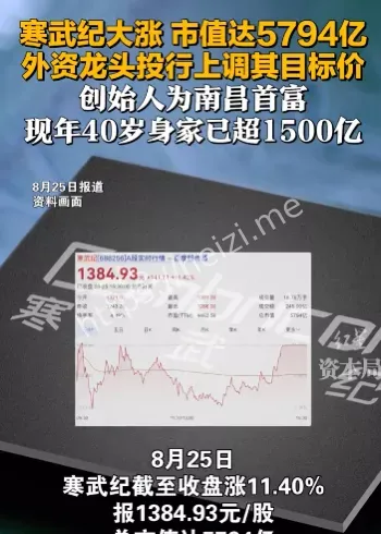 AI芯片热潮