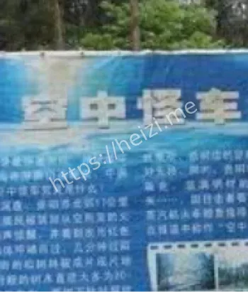 林木拦腰截断