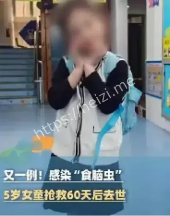 食脑虫感染