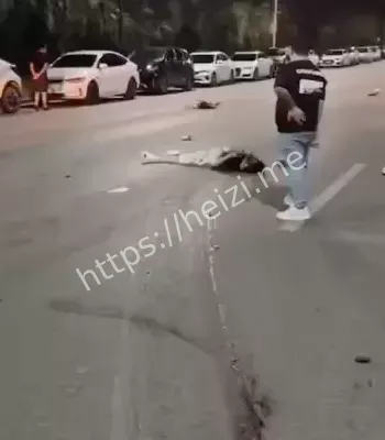 振兴大道