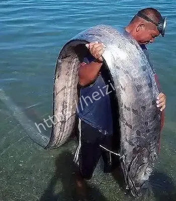 南澳岛