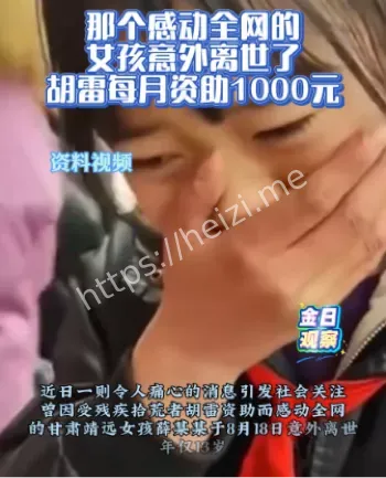 感动全网