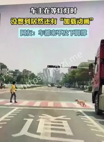 红绿灯