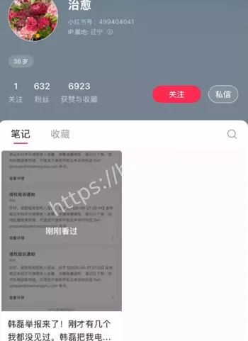 韩磊