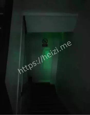 沈阳公园尸体