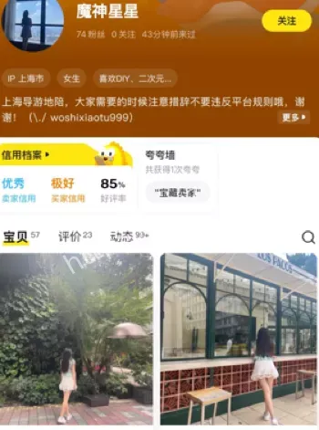 高端伴游乱象