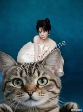 猫妖角色