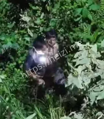 父亲自责