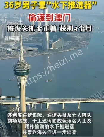 海关抓捕