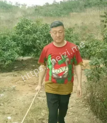 女网友怀孕
