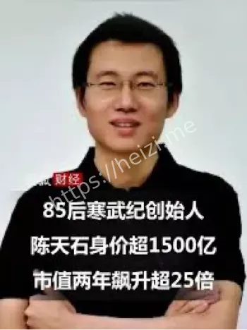 寒武纪陈天石
