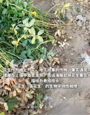 品牌道歉