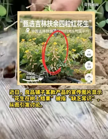 良品铺子