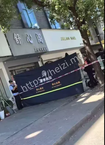 极氪汽车纠纷