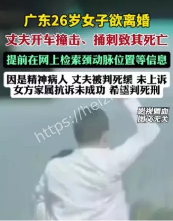 丈夫杀妻