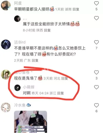 演艺圈杀手