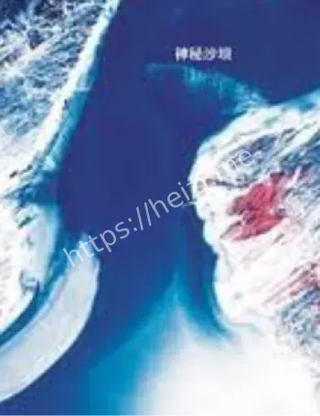量子比特编码