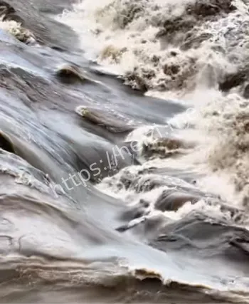 网络热议