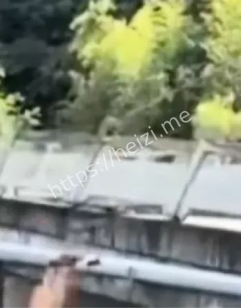 浙江台州跳水