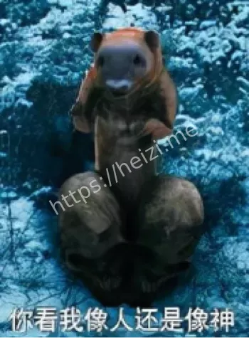 黄鼠狼讨封