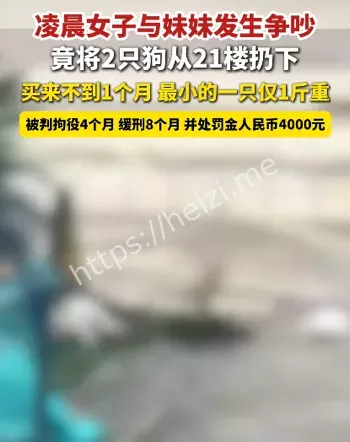 温州女子扔狗