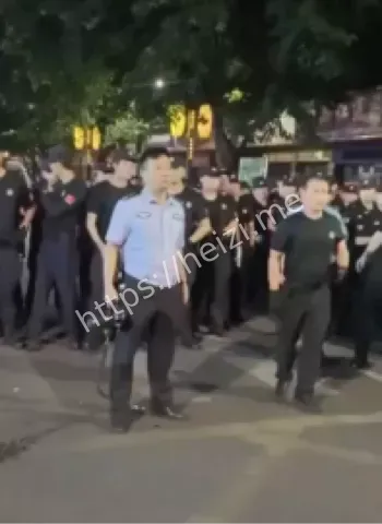 硬刚特警