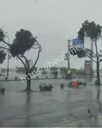 台风肆虐