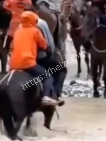 洪水灾难