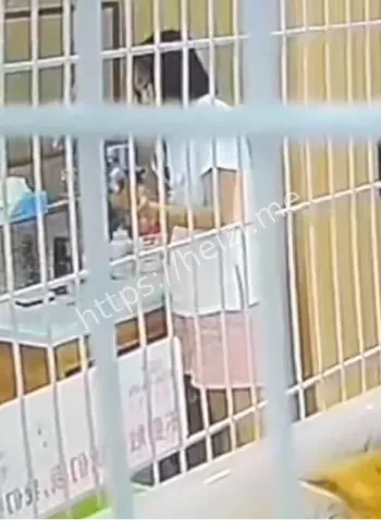 沈阳虐猫事件