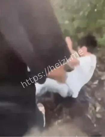 江西万载