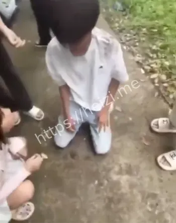 正义执行