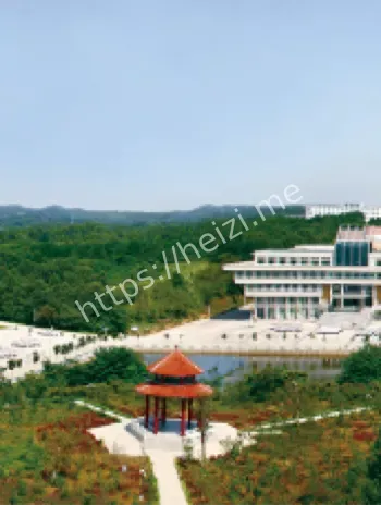 学校道歉