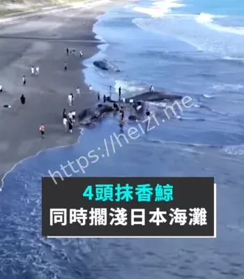 海洋污染