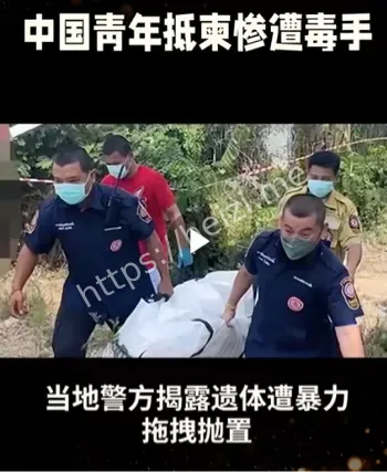 海外求职