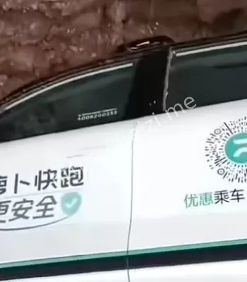 女乘客脱困